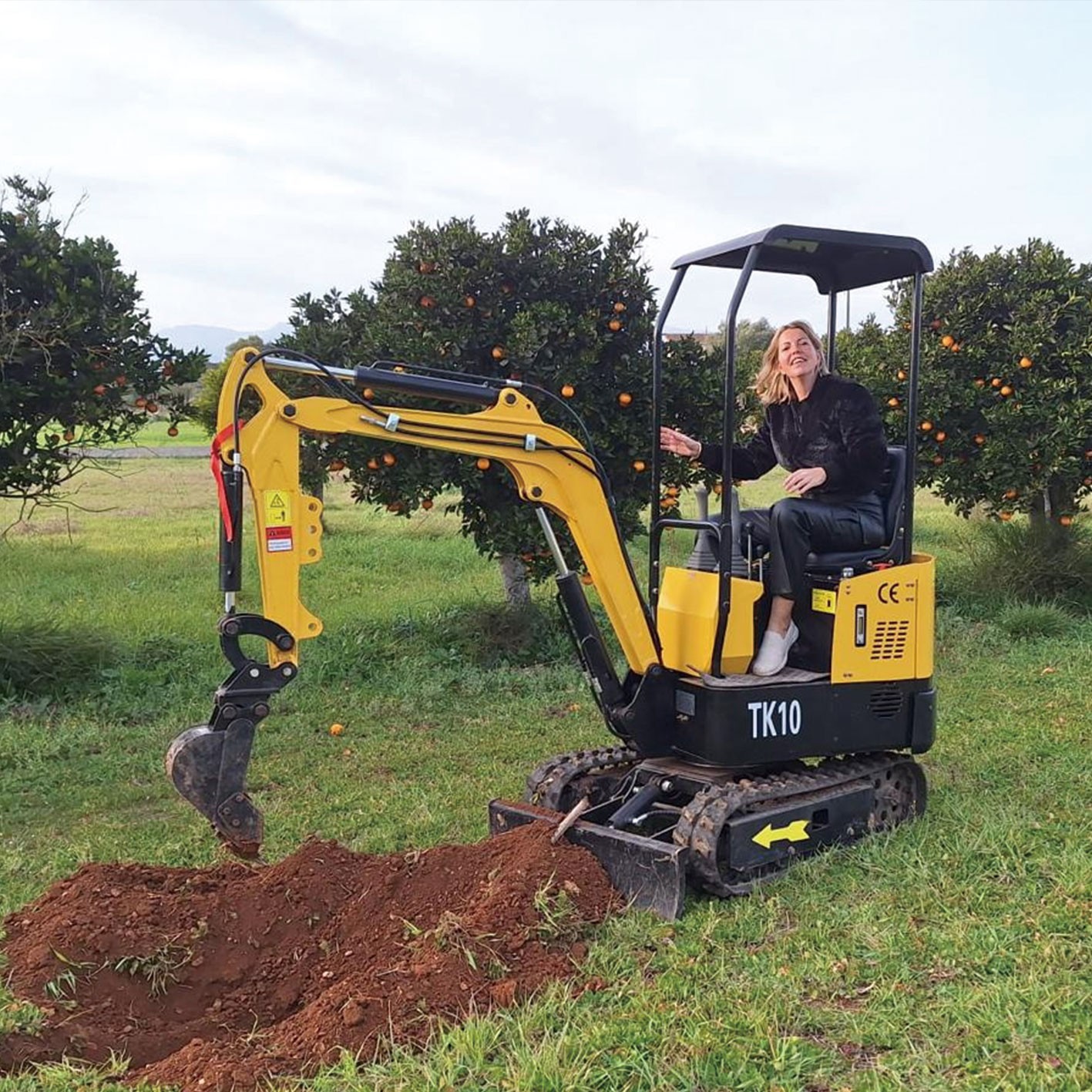 Mini Excavator 1000kg